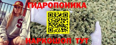 дмт Ставрополь